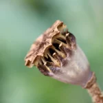 Zaufaj ekspertom: kancelaria prawna w Katowicach